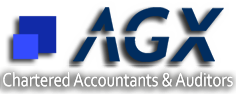Accounting & Audit Firms in Dubai, UAE
