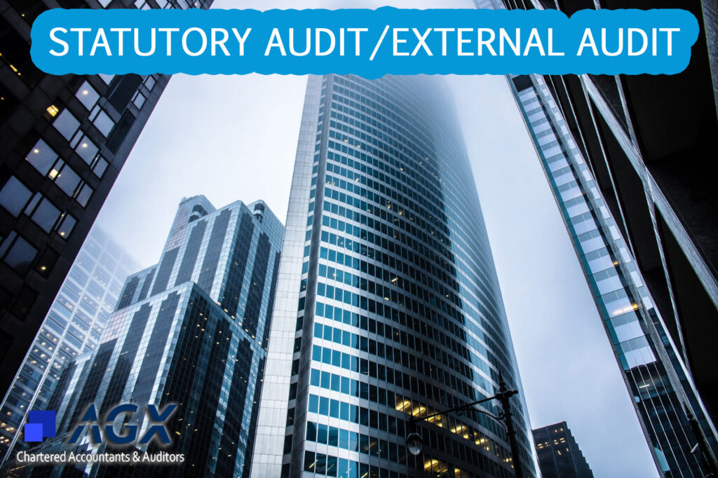 Statutory Audit External Audit