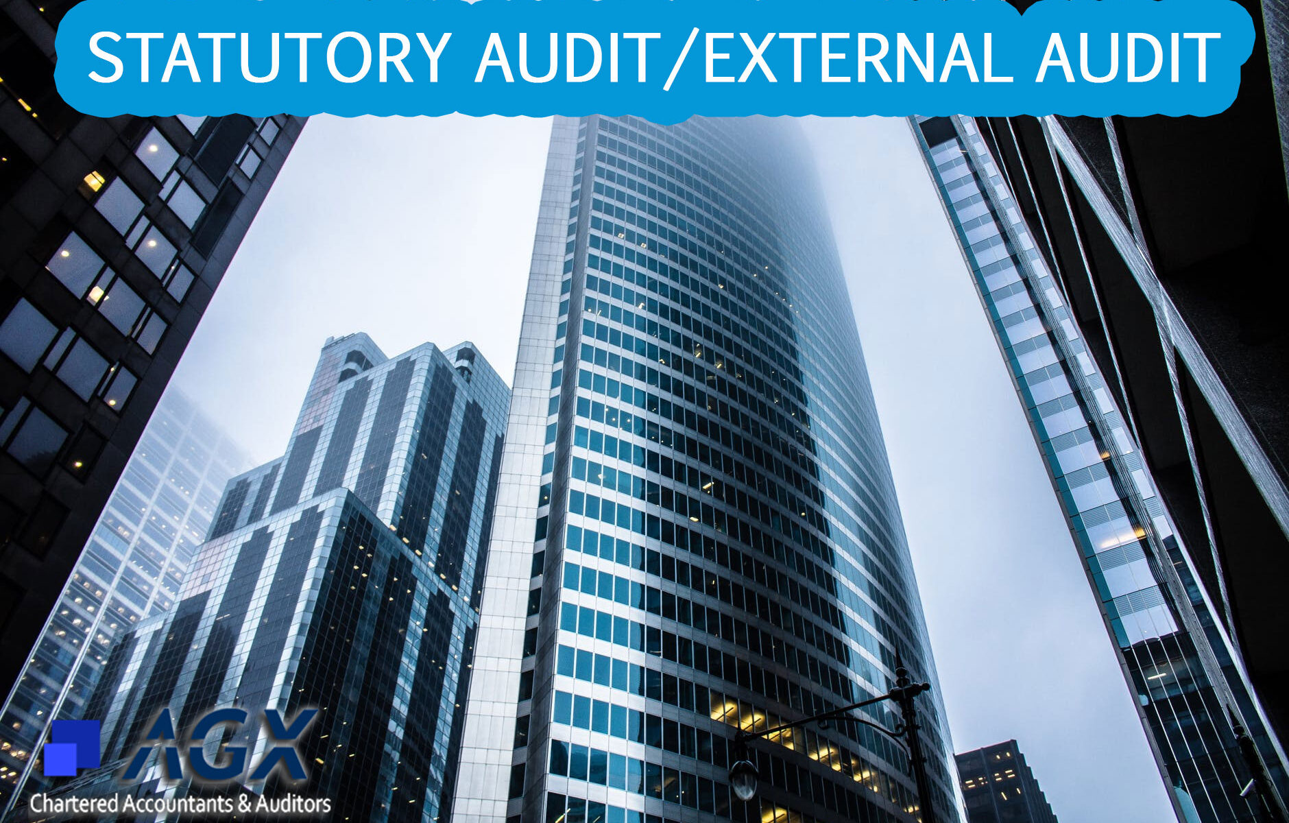 Statutory Audit External Audit